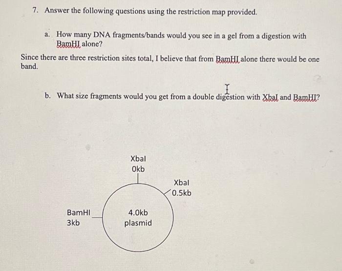 Solved please answer part a and b of question 7, double | Chegg.com
