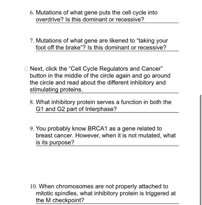 Solved 6. Mutations of what gene puts the cell cycle into Biology Diagrams