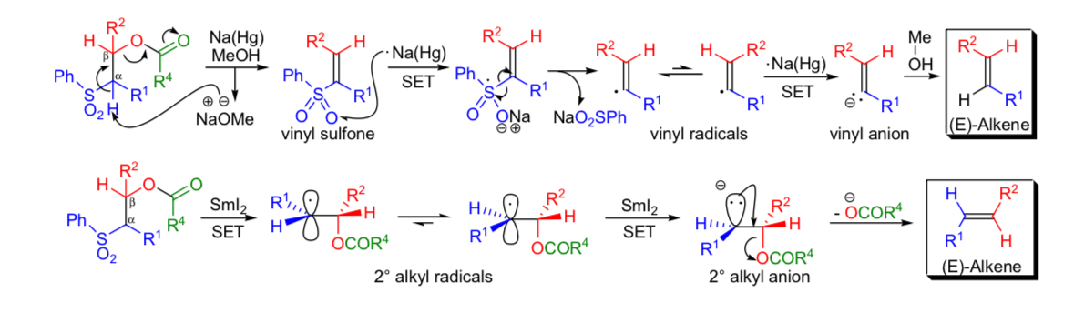 Solved In the Julia-Lythgoe reaction mechanism, there are | Chegg.com