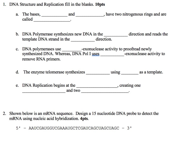 Solved 1. DNA Structure And Replication Fill In The Blanks. | Chegg.com