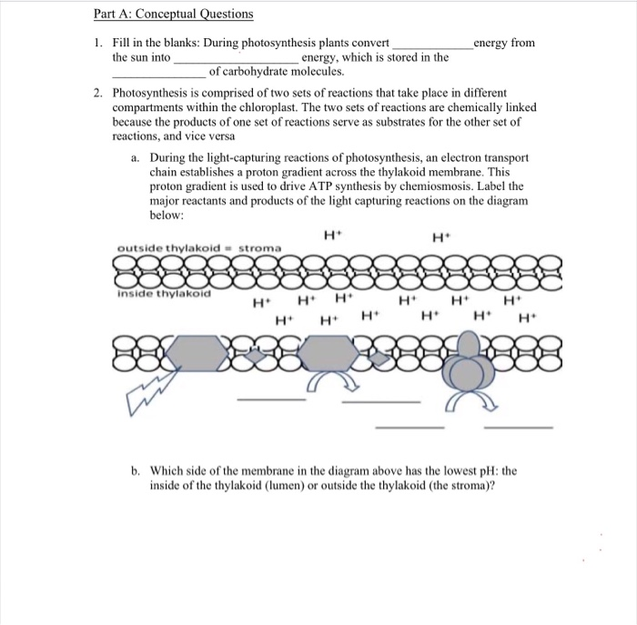 Solved Part A: Conceptual Questions 1. Fill in the blanks: | Chegg.com