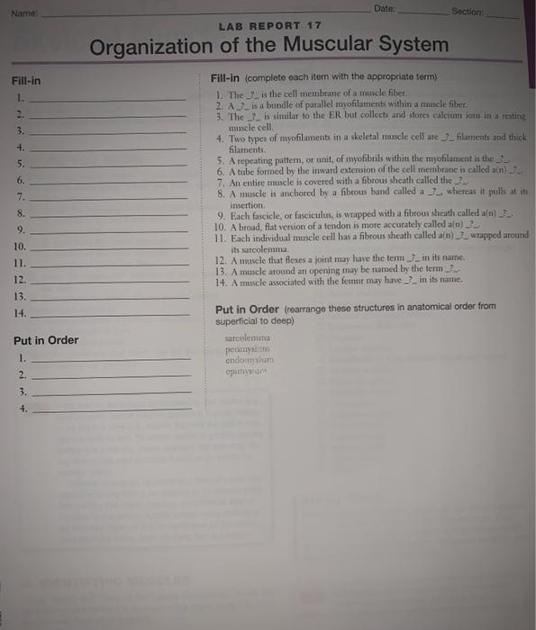 Solved Date Name Section LAB REPORT 17 Organization of the