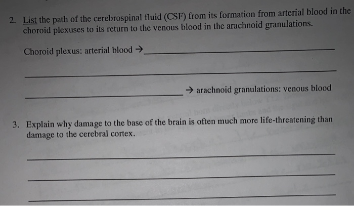 Solved 2. List the path of the cerebrospinal fluid (CSF) | Chegg.com