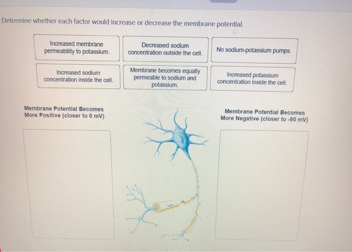 Solved Determine whether each factor would increase or | Chegg.com