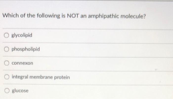 Solved Match the following descriptions with the correct | Chegg.com