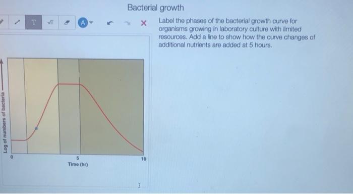Solved T Bacterial growth х Label the phases of the | Chegg.com