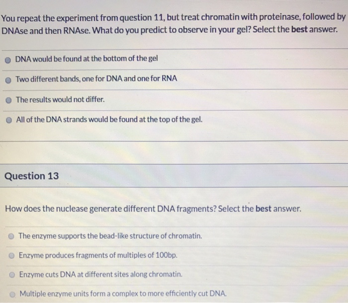 Solved Questions 11-13: use the following data This gel was | Chegg.com