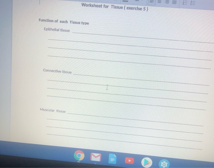 Solved Worksheet For Tissue Exercise 5 Function Of Each Chegg