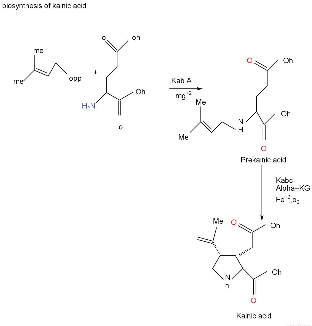 Solved do I have to add any other mechanism structure here | Chegg.com