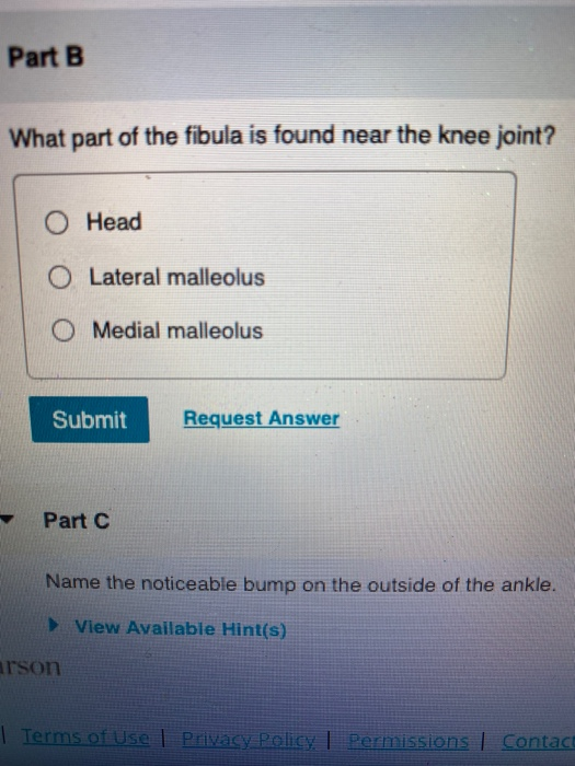 Solved what part of the fibula is found near the knee joint? | Chegg.com