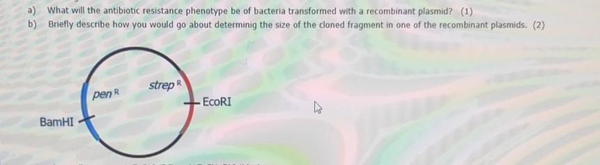 Solved 1) You have sequenced a short fragment of DNA, and | Chegg.com