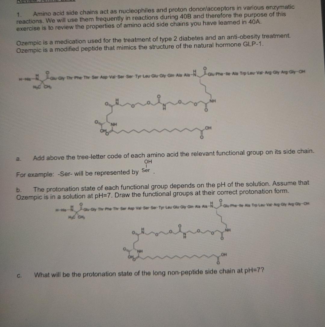 Solved Amino acid side chains act as nucleophiles and proton