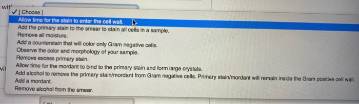 Solved The steps in the Gram stain protocol are numbered | Chegg.com