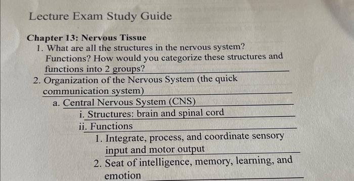 Solved Chapter 13: Nervous Tissue 1. What are all the | Chegg.com