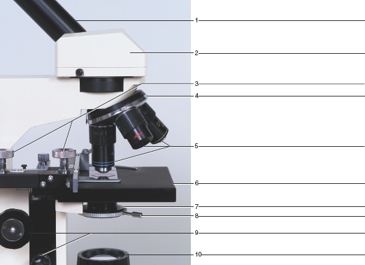 Solved: Label the microscope parts in figure 4.9.Figure 4.9 Ide