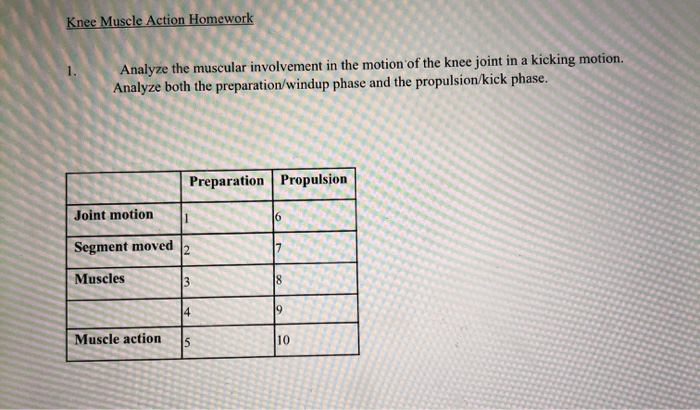 Solved Knee Muscle Action Homework Analyze the muscular | Chegg.com