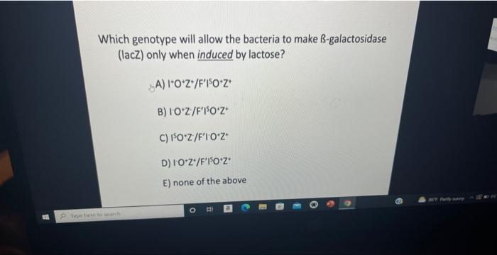 Solved Which genotype will allow the bacteria to make | Chegg.com