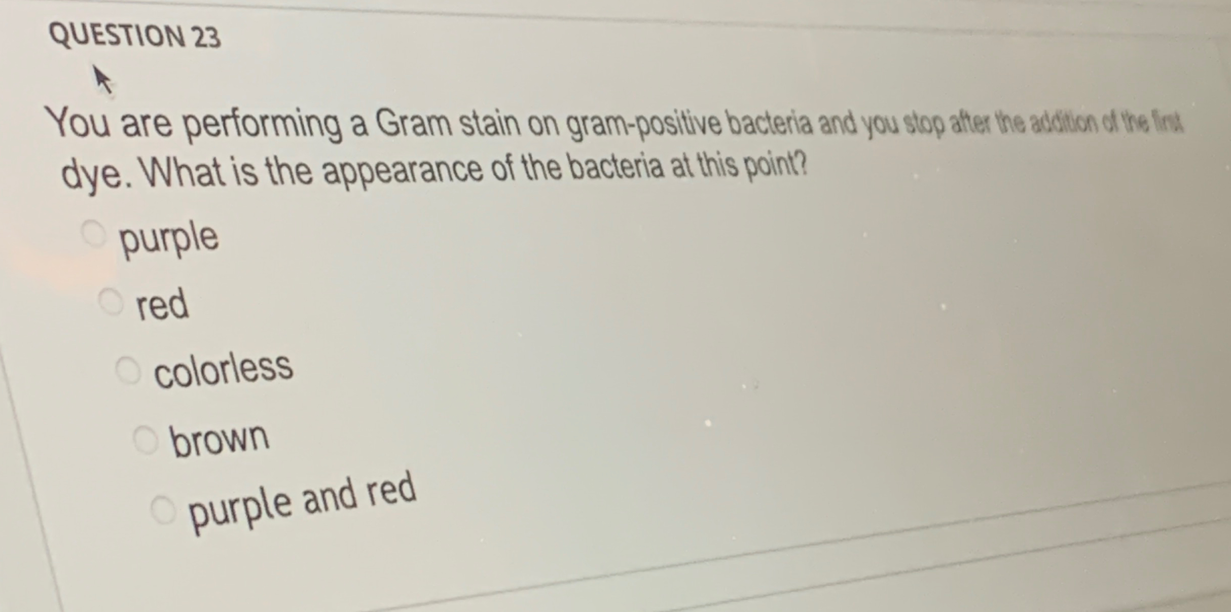 Solved QUESTION 23You are performing a Gram stain on | Chegg.com