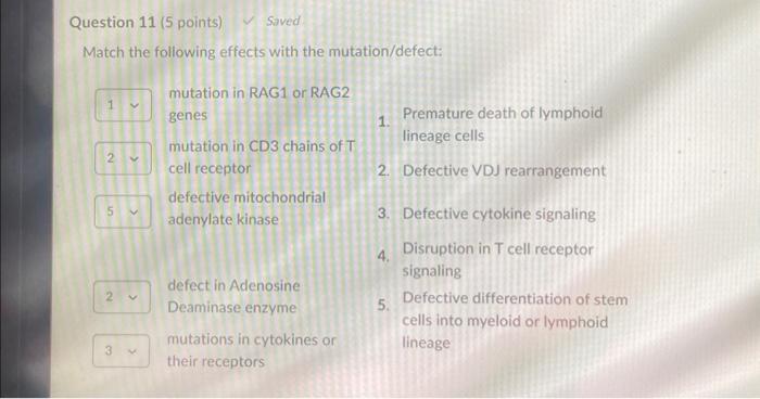 Solved Match the following effects with the mutation/defect: | Chegg.com