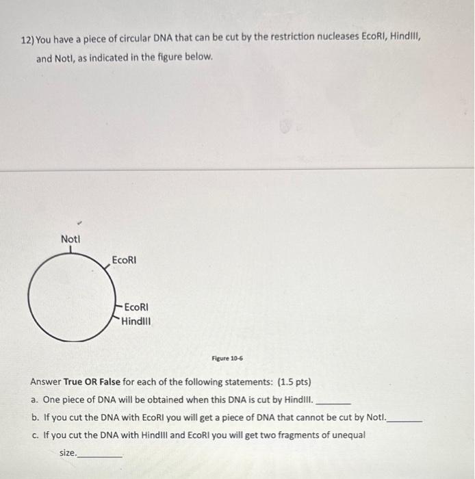 Solved 12) You have a piece of circular DNA that can be cut | Chegg.com