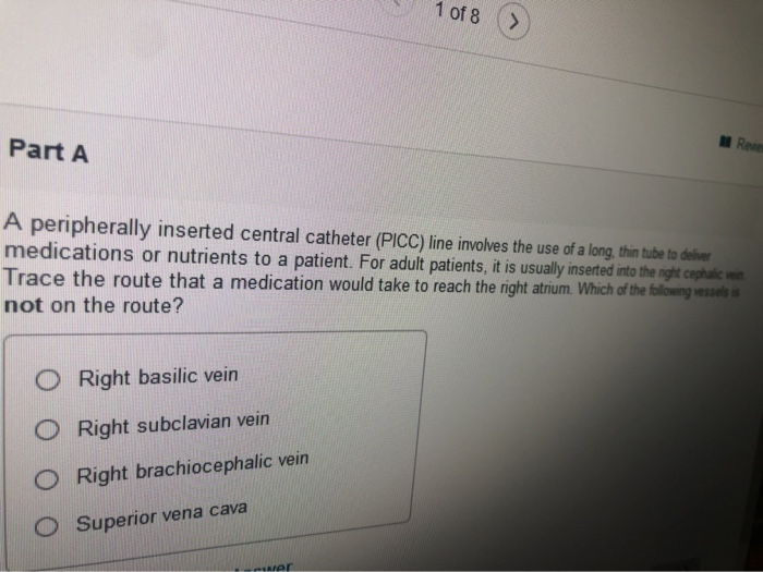 Solved se 32 Review Sheet Art-labeling Activity 2 (2 of 3 ...