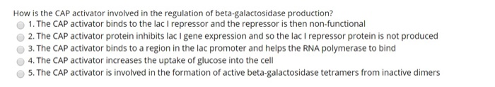 Solved How is the CAP activator involved in the regulation | Chegg.com