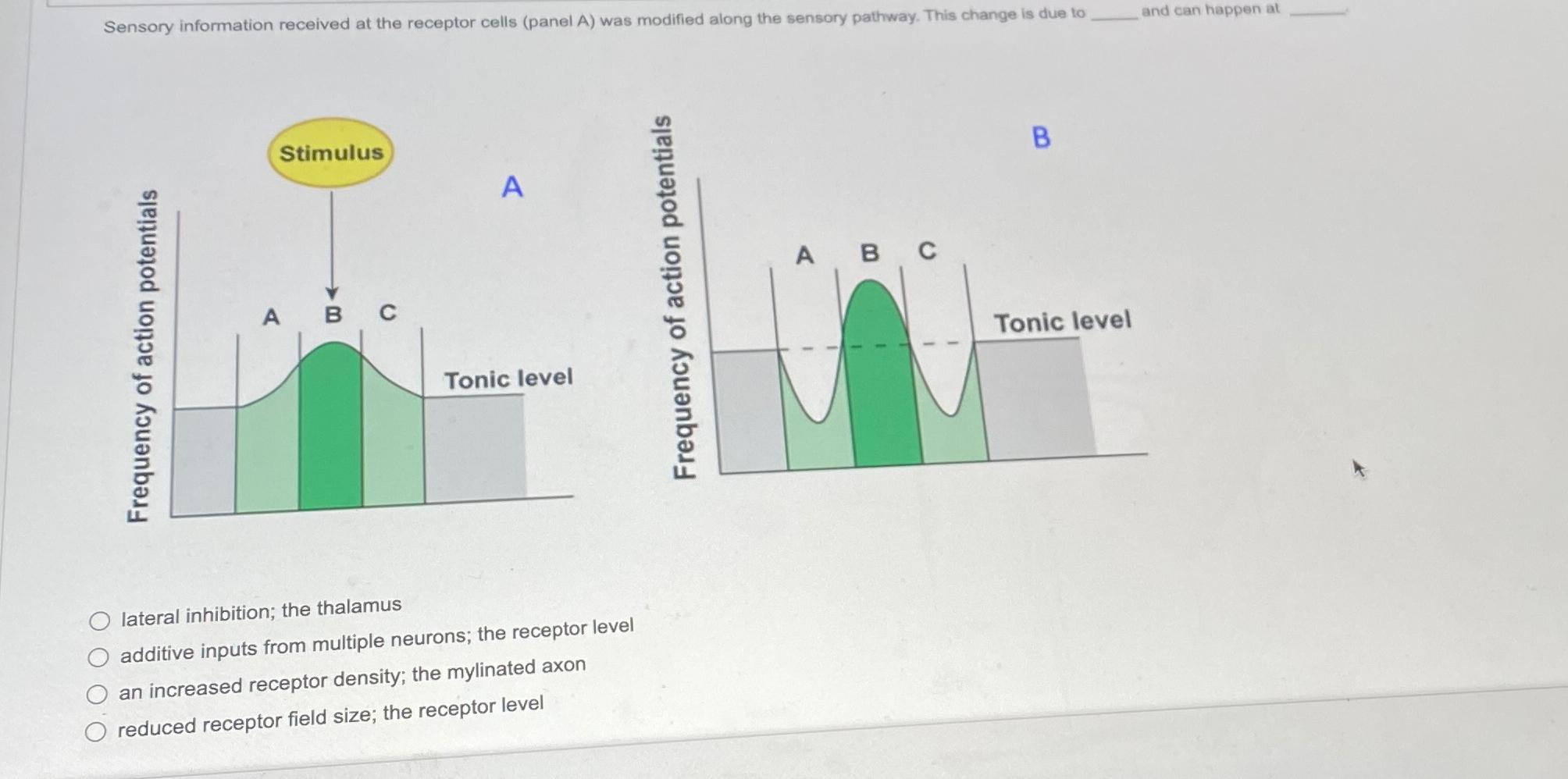 Solved Sensory information received at the receptor cells | Chegg.com