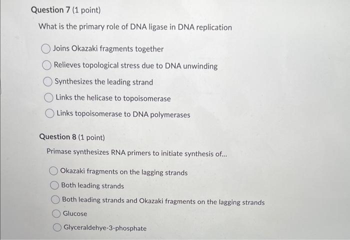 What is the primary role of DNA ligase in DNA replication
Joins Okazaki fragments together
Relieves topological stress due to