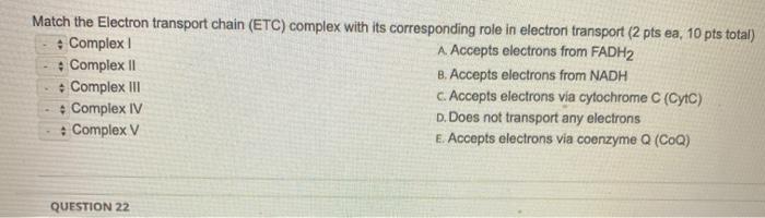 Solved Match the Electron transport chain (ETC) complex with | Chegg.com