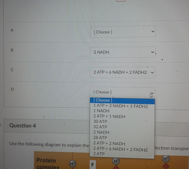 Solved Refer to the diagram of cellular respiration below. | Chegg.com