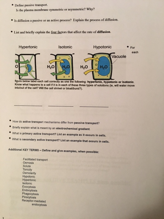 Solved Define Passive Transport Is The Plasma Membrane Chegg Com
