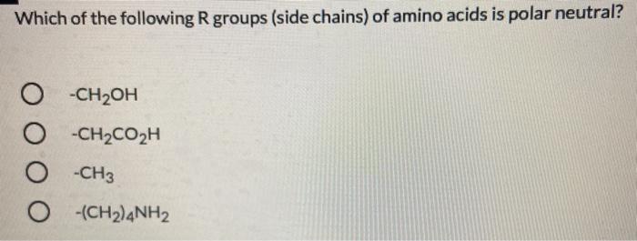 meat tenderizer enzyme experiment