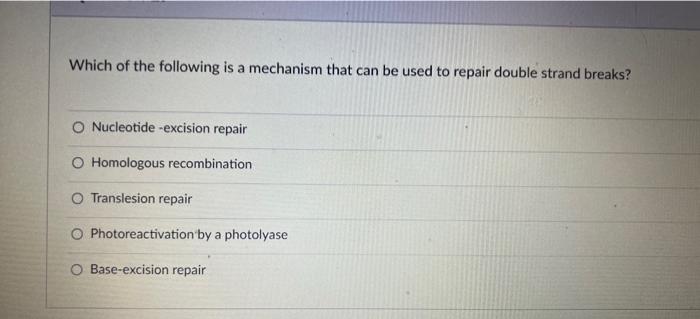 Solved Which Of The Following Describes The Relationship | Chegg.com