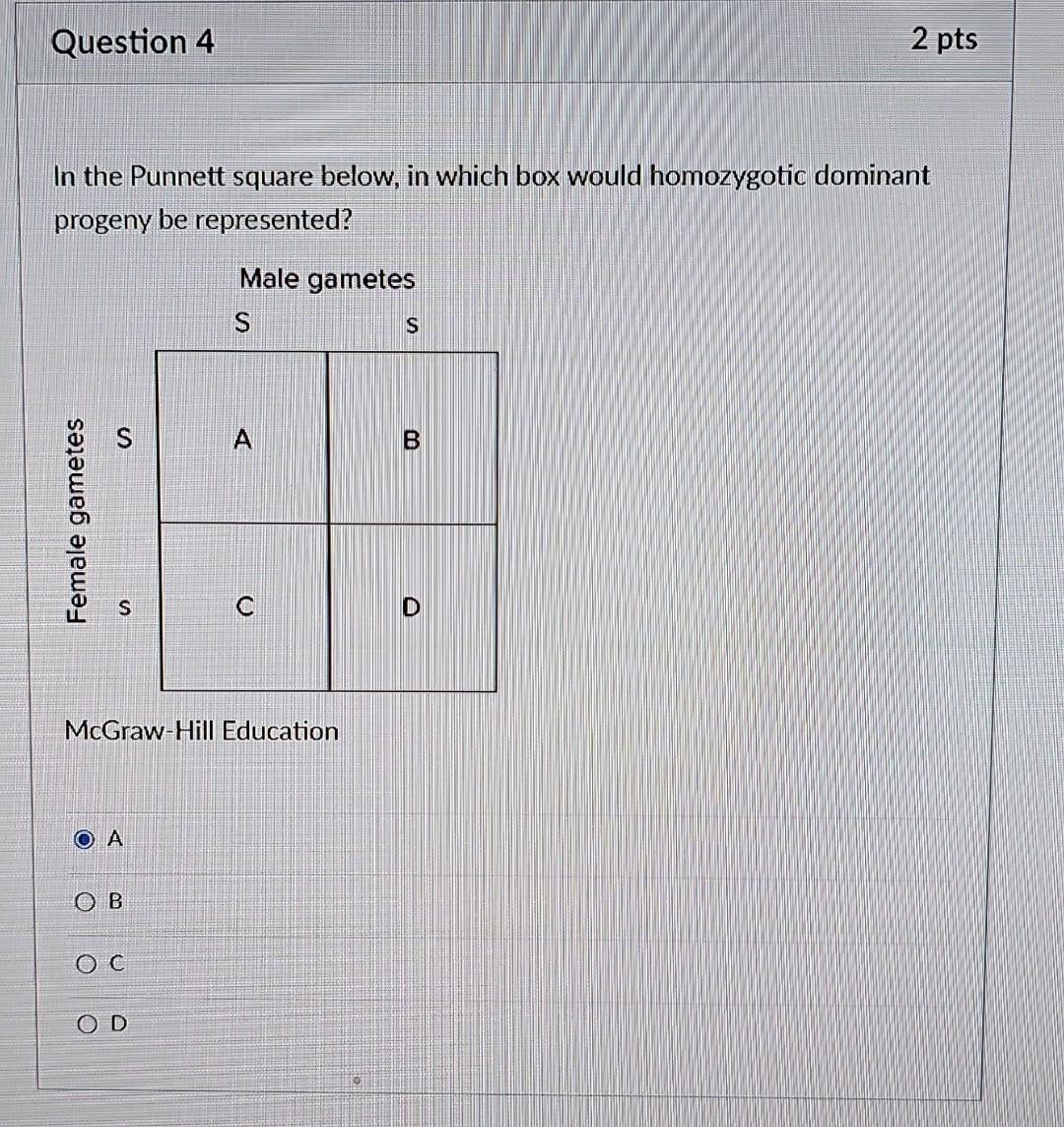Solved In the Punnett square below, in which box would | Chegg.com