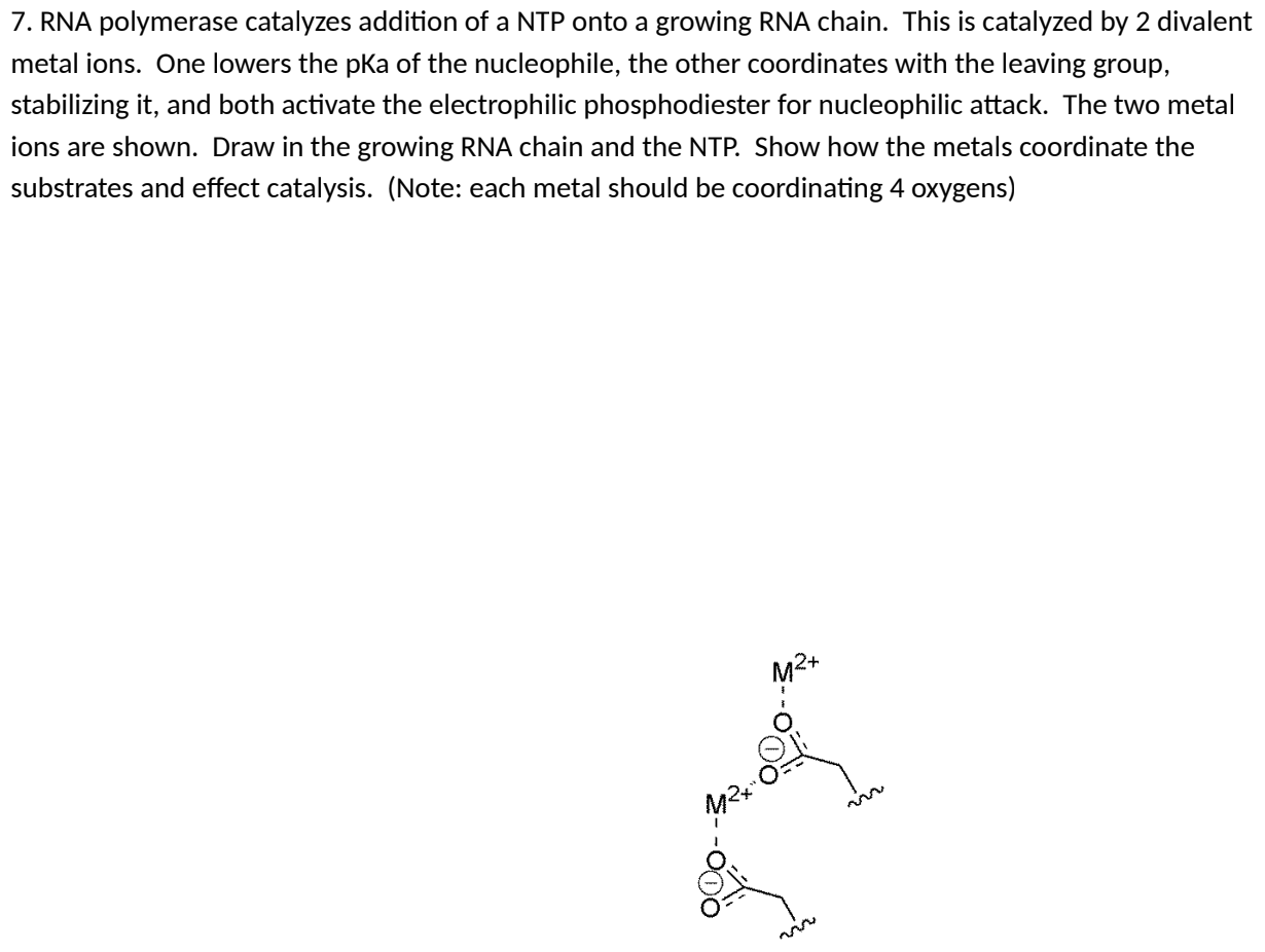 Rna Ntp Solved 7. RNA polymerase catalyzes addition of a NTP onto a | Chegg.com