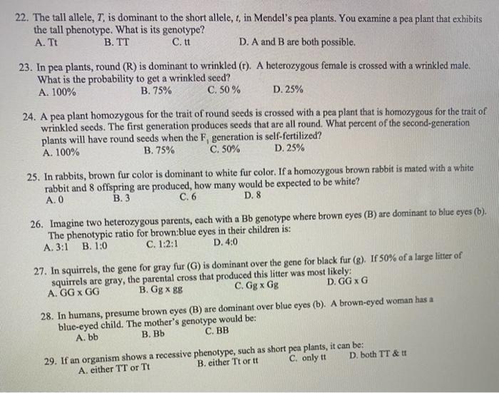 Solved 22. The tall allele, T, is dominant to the short | Chegg.com