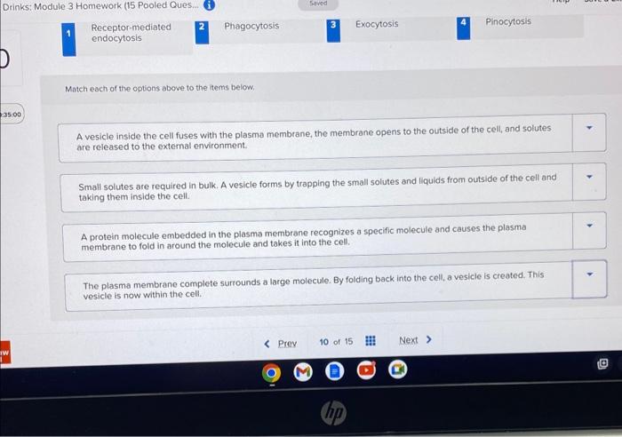 Solved Match each of the options above to the items below. A | Chegg.com
