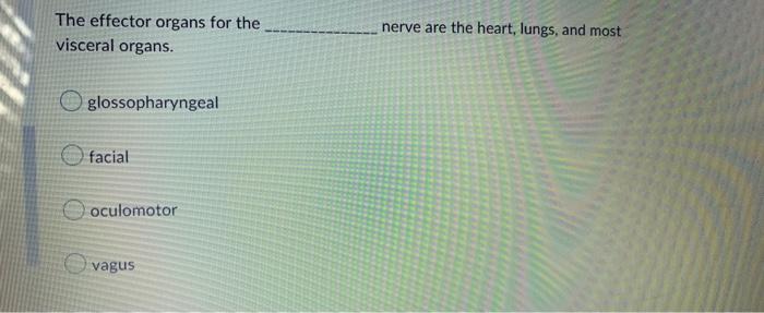 Solved The effector organs for the nerve are the heart, | Chegg.com