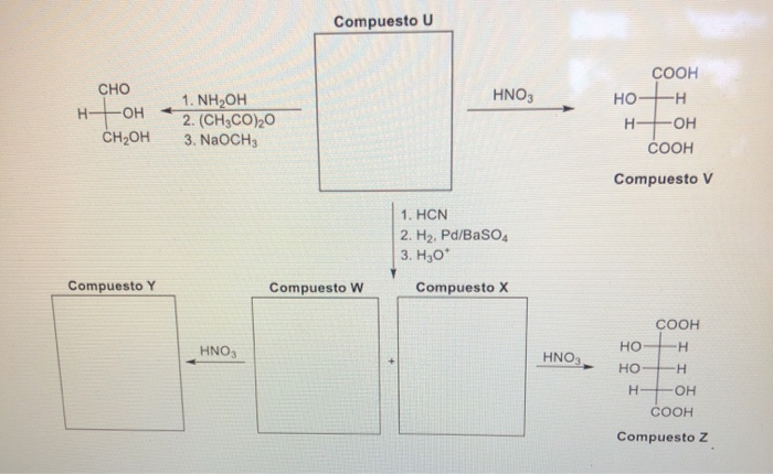 Solved Fill In The Blank Squares With The Fischer Project Chegg Com