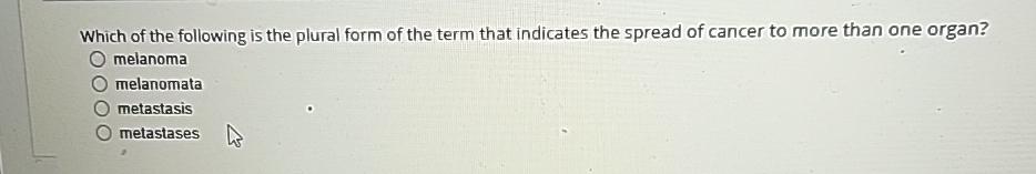 Solved Which of the following is the plural form of the term | Chegg.com