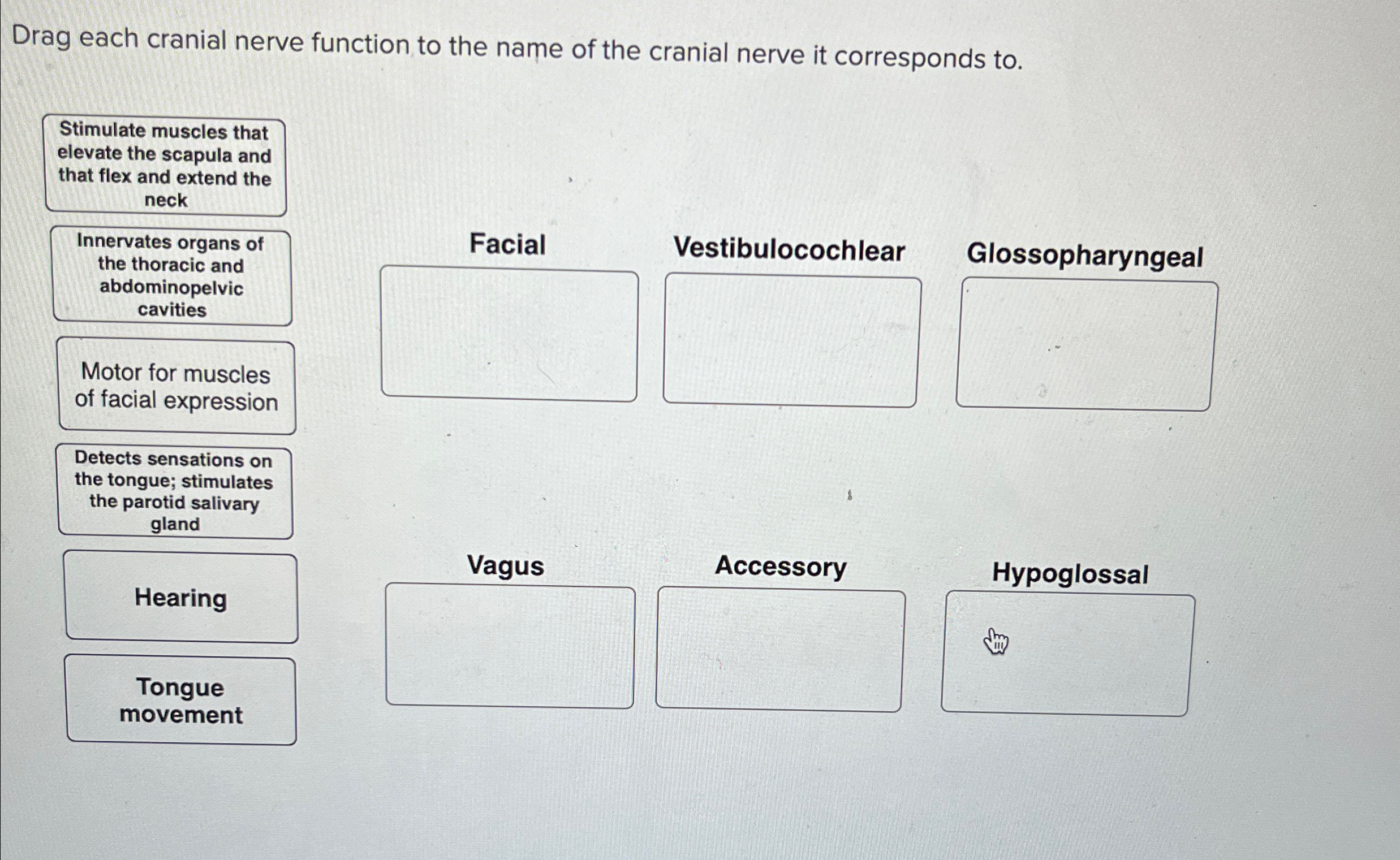 Solved Drag each cranial nerve function to the name of the | Chegg.com