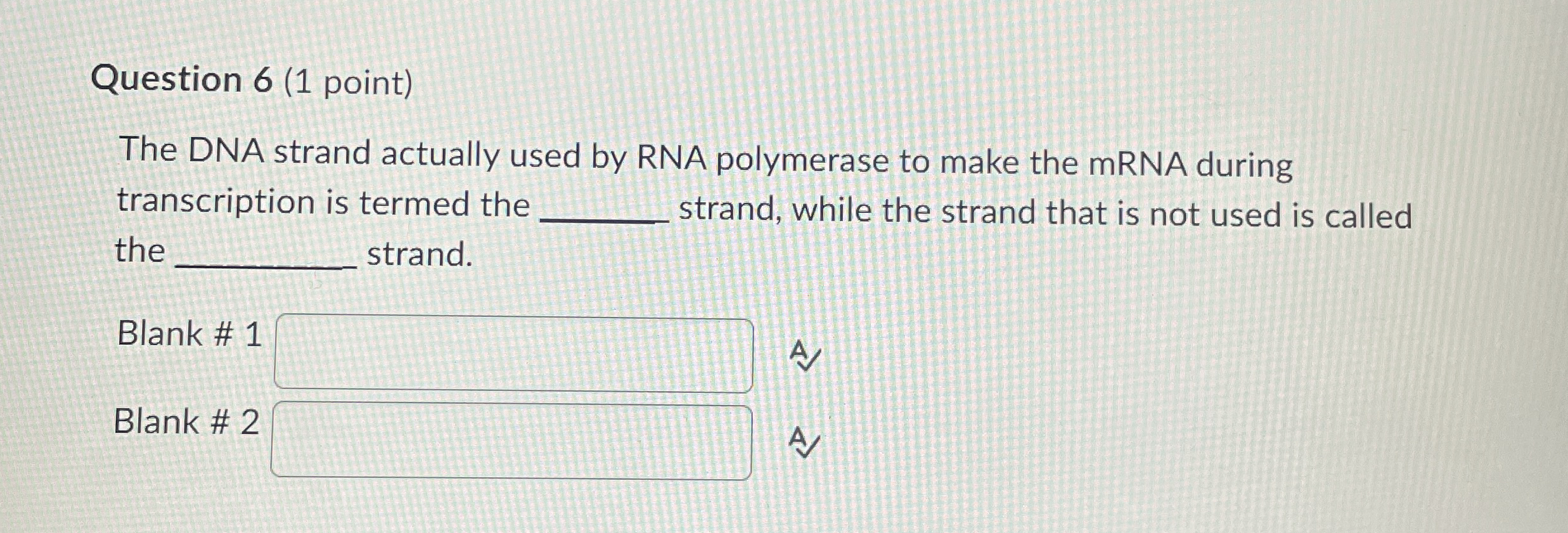 Solved Question 6 (1 ﻿point)The DNA strand actually used by | Chegg.com
