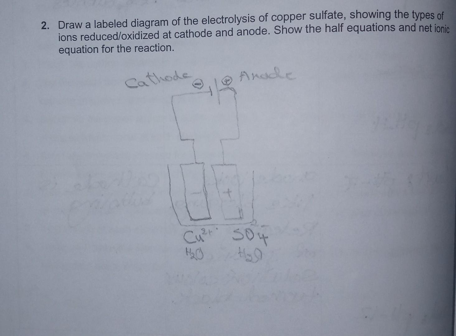 Solved 2. Draw A Labeled Diagram Of The Electrolysis Of | Chegg.com