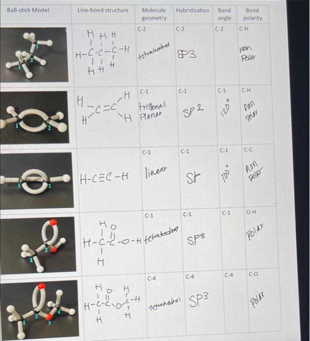 Solved What Are The Bond Angles For The Blank Spots | Chegg.com