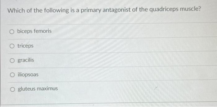 Which of the following is a primary antagonist of the quadriceps muscle?
biceps femoris
triceps
gracilis
iliopsoas
gluteus ma