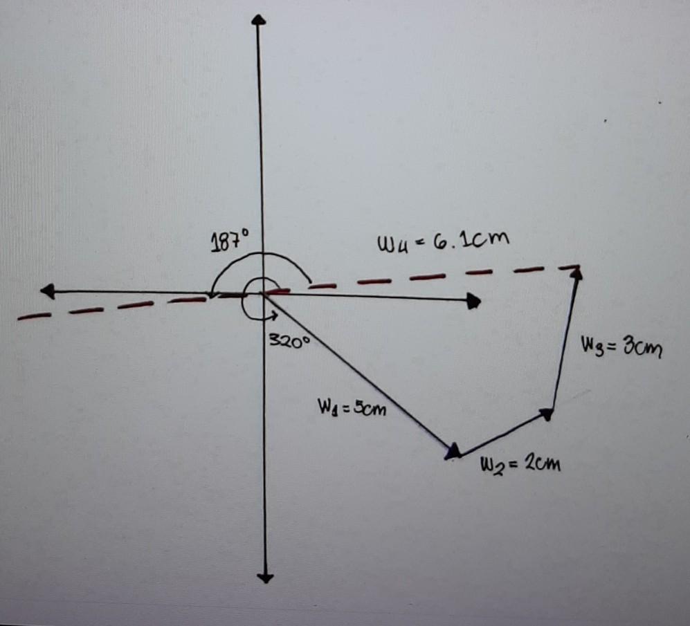 Solved What can you say about the magnitudes and direction | Chegg.com