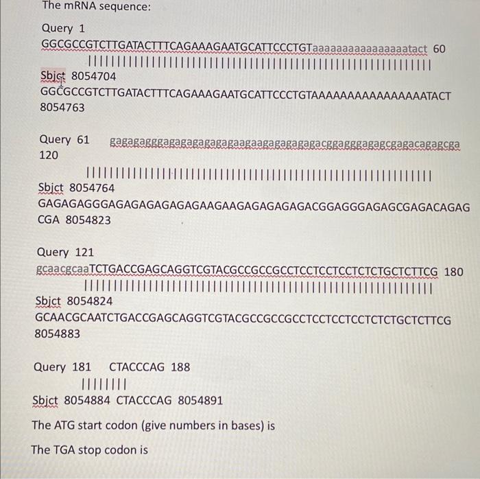 Solved The mRNA sequence: Query 1 | Chegg.com