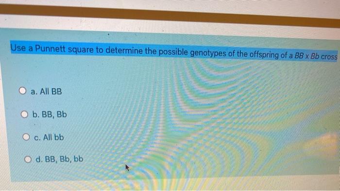 Solved Use a Punnett square to determine the possible | Chegg.com