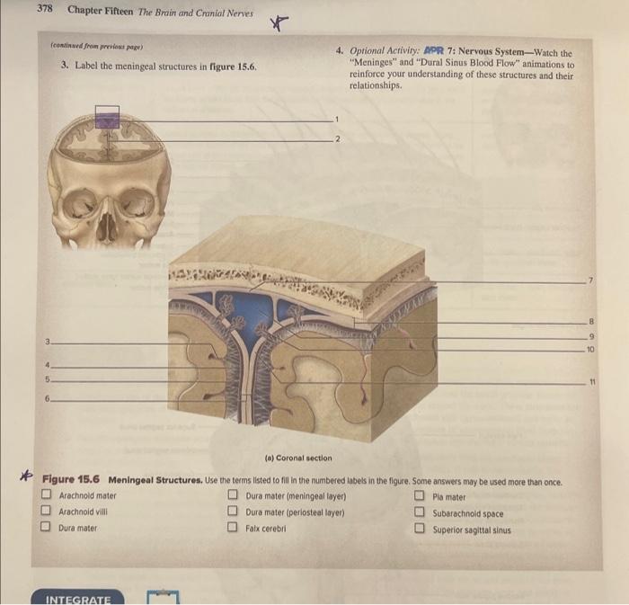Solved 378 Chapter Fifteen The Brain and Cranial Nenves | Chegg.com