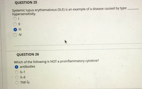 Solved QUESTION 25 Systemic Lupus Erythematosus (SLE) Is An | Chegg.com